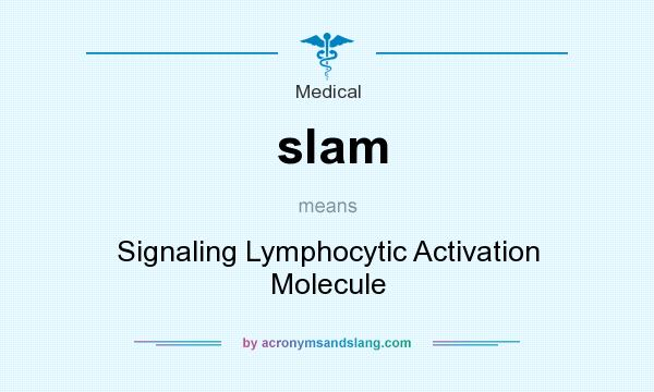 What does slam mean? It stands for Signaling Lymphocytic Activation Molecule