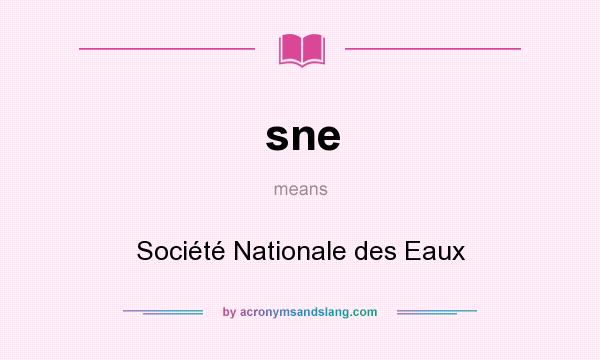 What does sne mean? It stands for Société Nationale des Eaux