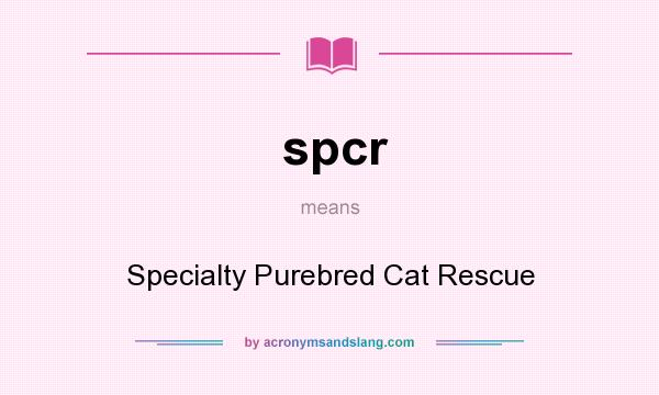 What does spcr mean? It stands for Specialty Purebred Cat Rescue