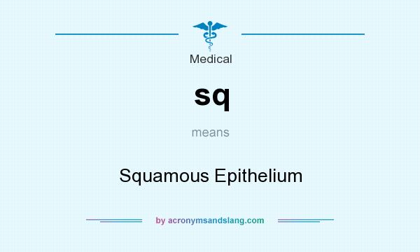 What does sq mean? It stands for Squamous Epithelium