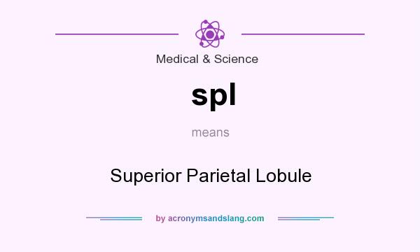 What does spl mean? It stands for Superior Parietal Lobule