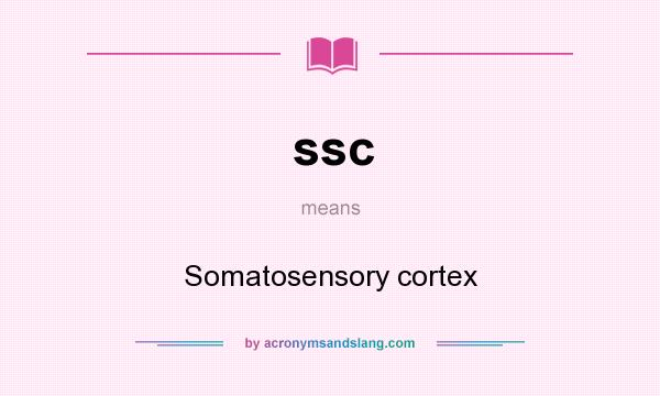 What does ssc mean? It stands for Somatosensory cortex