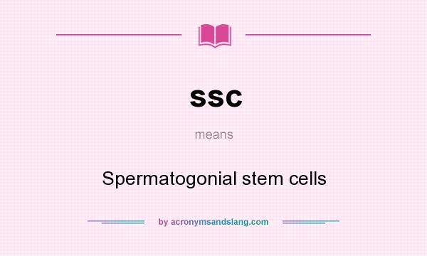 What does ssc mean? It stands for Spermatogonial stem cells