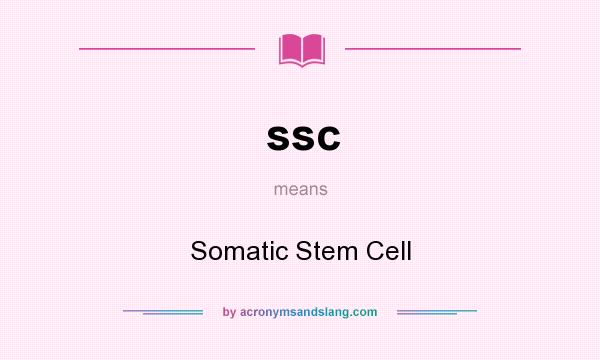 What does ssc mean? It stands for Somatic Stem Cell