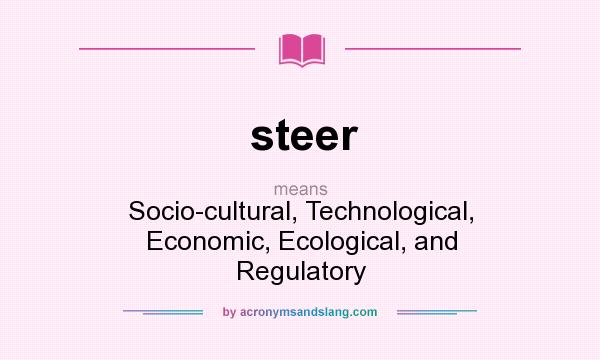 What does steer mean? It stands for Socio-cultural, Technological, Economic, Ecological, and Regulatory