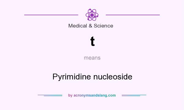 What does t mean? It stands for Pyrimidine nucleoside