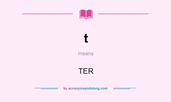 What does t mean? It stands for TER
