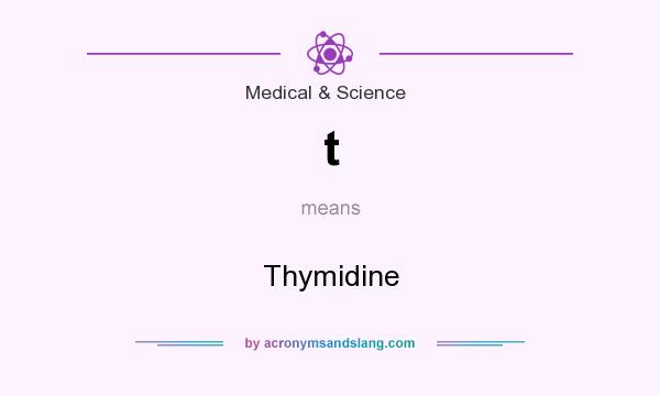 What does t mean? It stands for Thymidine