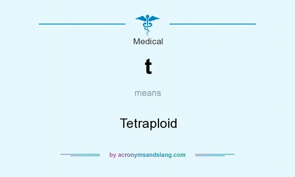 What does t mean? It stands for Tetraploid