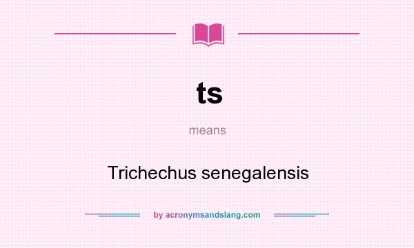 What does ts mean? It stands for Trichechus senegalensis