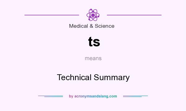 What does ts mean? It stands for Technical Summary