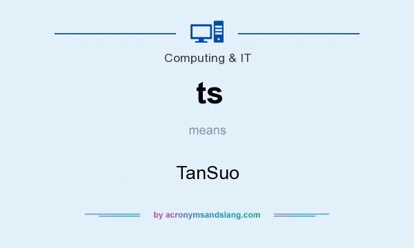 What does ts mean? It stands for TanSuo