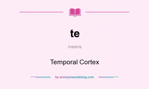 What does te mean? It stands for Temporal Cortex