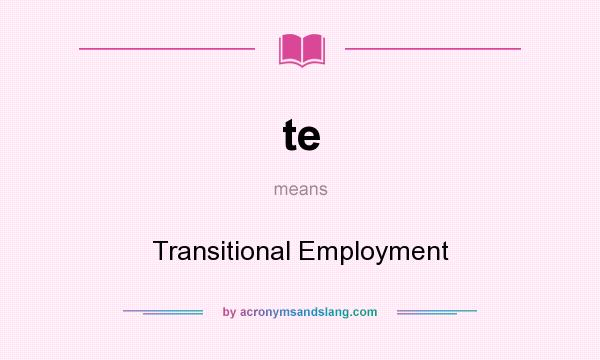 What does te mean? It stands for Transitional Employment
