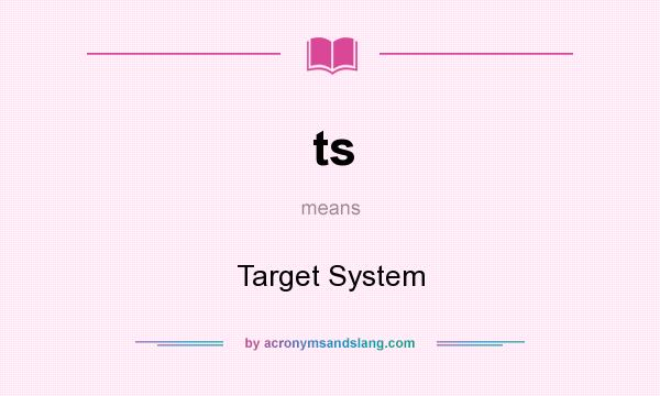 What does ts mean? It stands for Target System