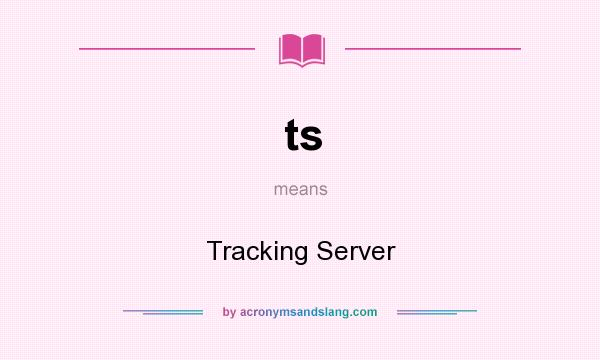 What does ts mean? It stands for Tracking Server