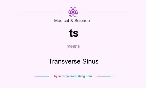 What does ts mean? It stands for Transverse Sinus