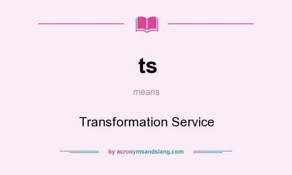 What does ts mean? It stands for Transformation Service