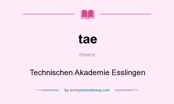 What does tae mean? It stands for Technischen Akademie Esslingen