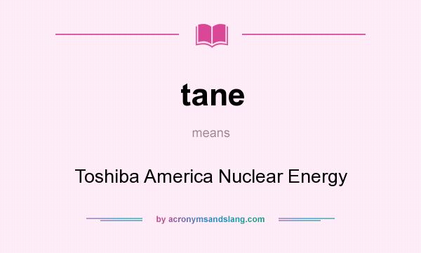 What does tane mean? It stands for Toshiba America Nuclear Energy