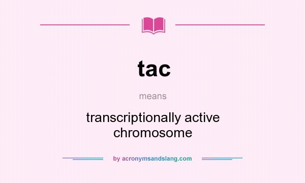 What does tac mean? It stands for transcriptionally active chromosome