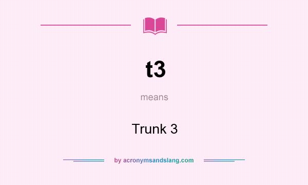 What does t3 mean? It stands for Trunk 3