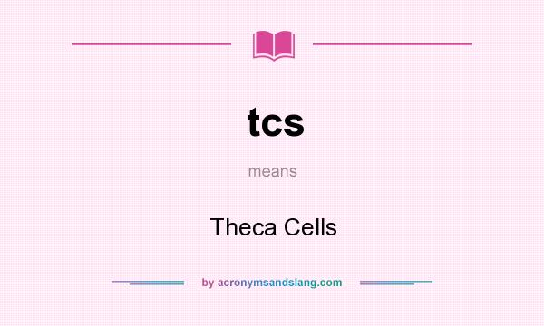 What does tcs mean? It stands for Theca Cells