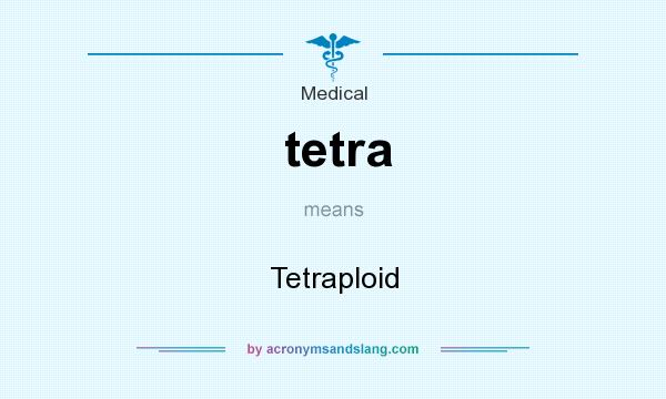 What does tetra mean? It stands for Tetraploid