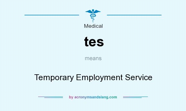 What does tes mean? It stands for Temporary Employment Service