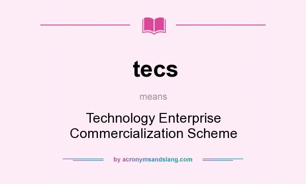 What does tecs mean? It stands for Technology Enterprise Commercialization Scheme
