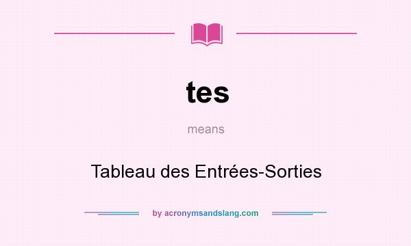What does tes mean? It stands for Tableau des Entrées-Sorties