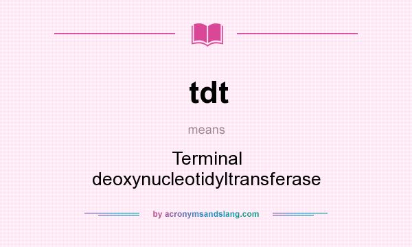 What does tdt mean? It stands for Terminal deoxynucleotidyltransferase