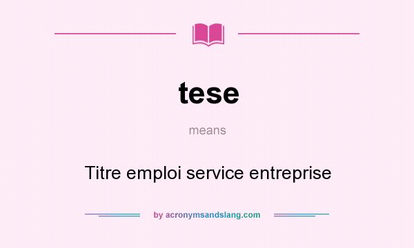 What does tese mean? It stands for Titre emploi service entreprise