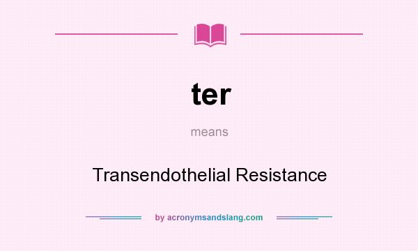 What does ter mean? It stands for Transendothelial Resistance