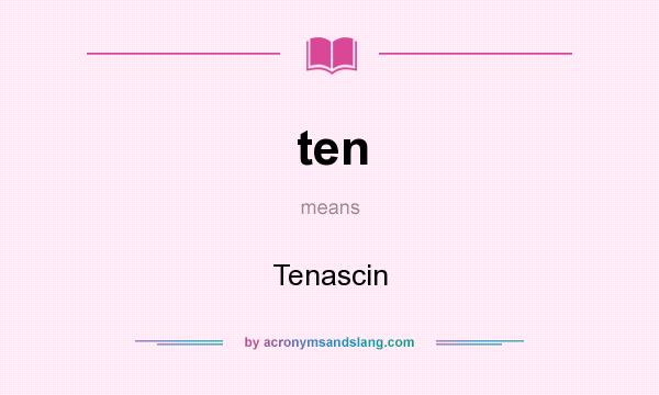 What does ten mean? It stands for Tenascin