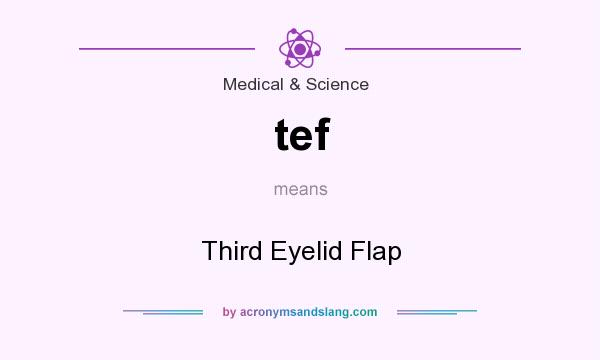 What does tef mean? It stands for Third Eyelid Flap