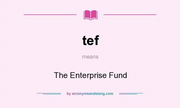 What does tef mean? It stands for The Enterprise Fund