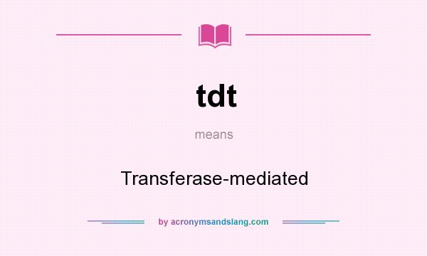 What does tdt mean? It stands for Transferase-mediated