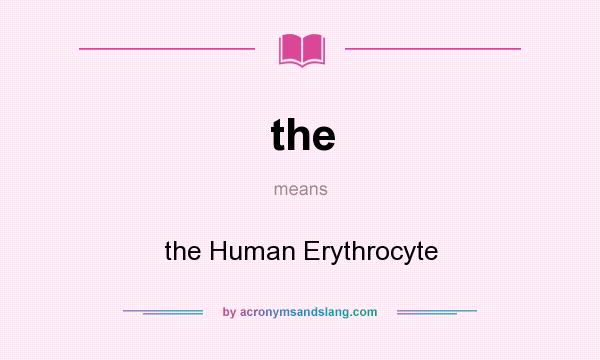 What does the mean? It stands for the Human Erythrocyte