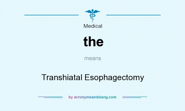 What does the mean? It stands for Transhiatal Esophagectomy