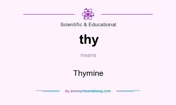 What does thy mean? It stands for Thymine