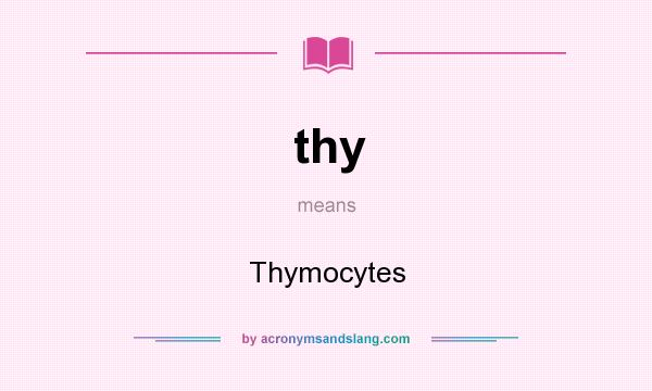 What does thy mean? It stands for Thymocytes