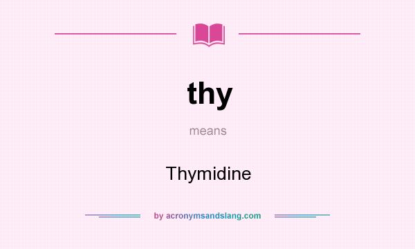 What does thy mean? It stands for Thymidine