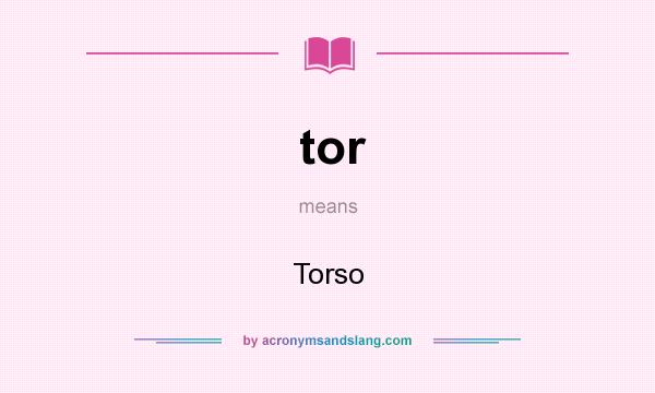 What does tor mean? It stands for Torso