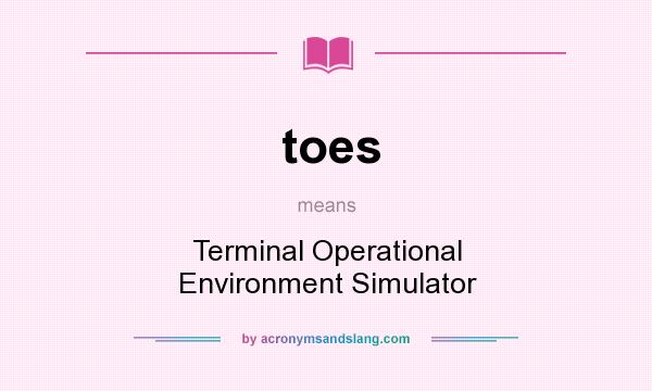 What does toes mean? It stands for Terminal Operational Environment Simulator