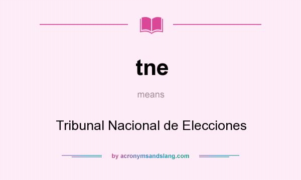 What does tne mean? It stands for Tribunal Nacional de Elecciones