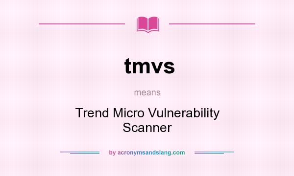 What does tmvs mean? It stands for Trend Micro Vulnerability Scanner