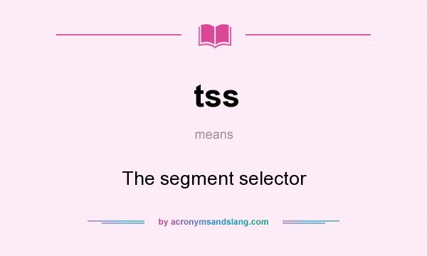 What does tss mean? It stands for The segment selector