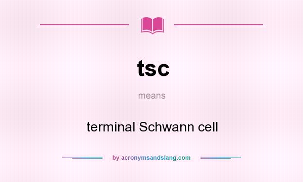 What does tsc mean? It stands for terminal Schwann cell