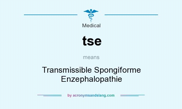 What does tse mean? It stands for Transmissible Spongiforme Enzephalopathie